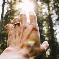 Conscious Living Workshop